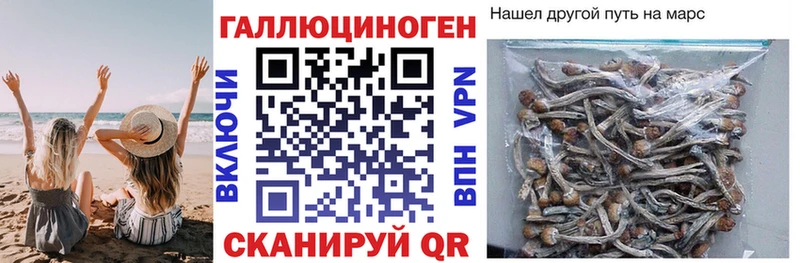 Псилоцибиновые грибы Magic Shrooms  как найти наркотики  гидра ТОР  Мензелинск 